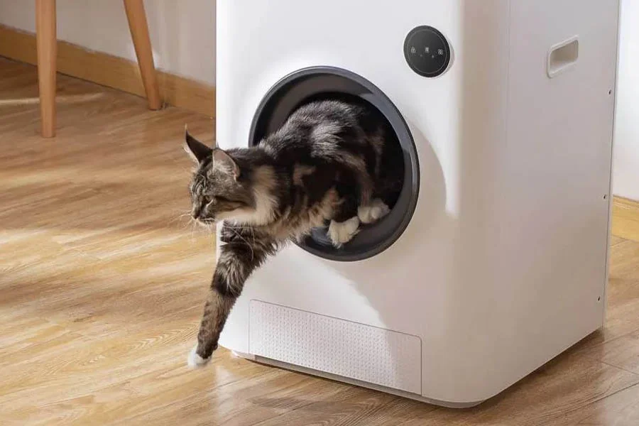 scent free litter box